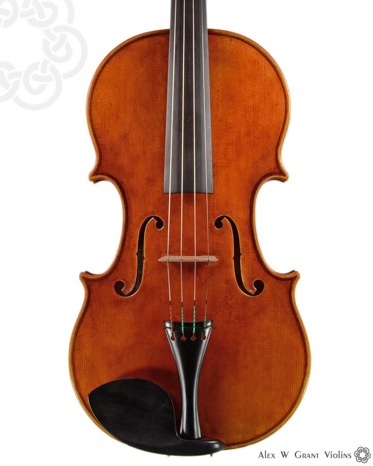 Viola by Martin Schuster, Melbourne, 2018