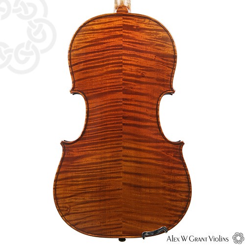 KG 100 Viola Outfit-1778