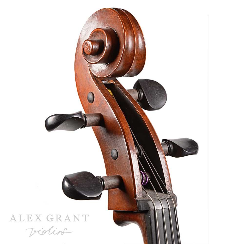 Gabrielli Cello 3/4 Scroll-Angled View