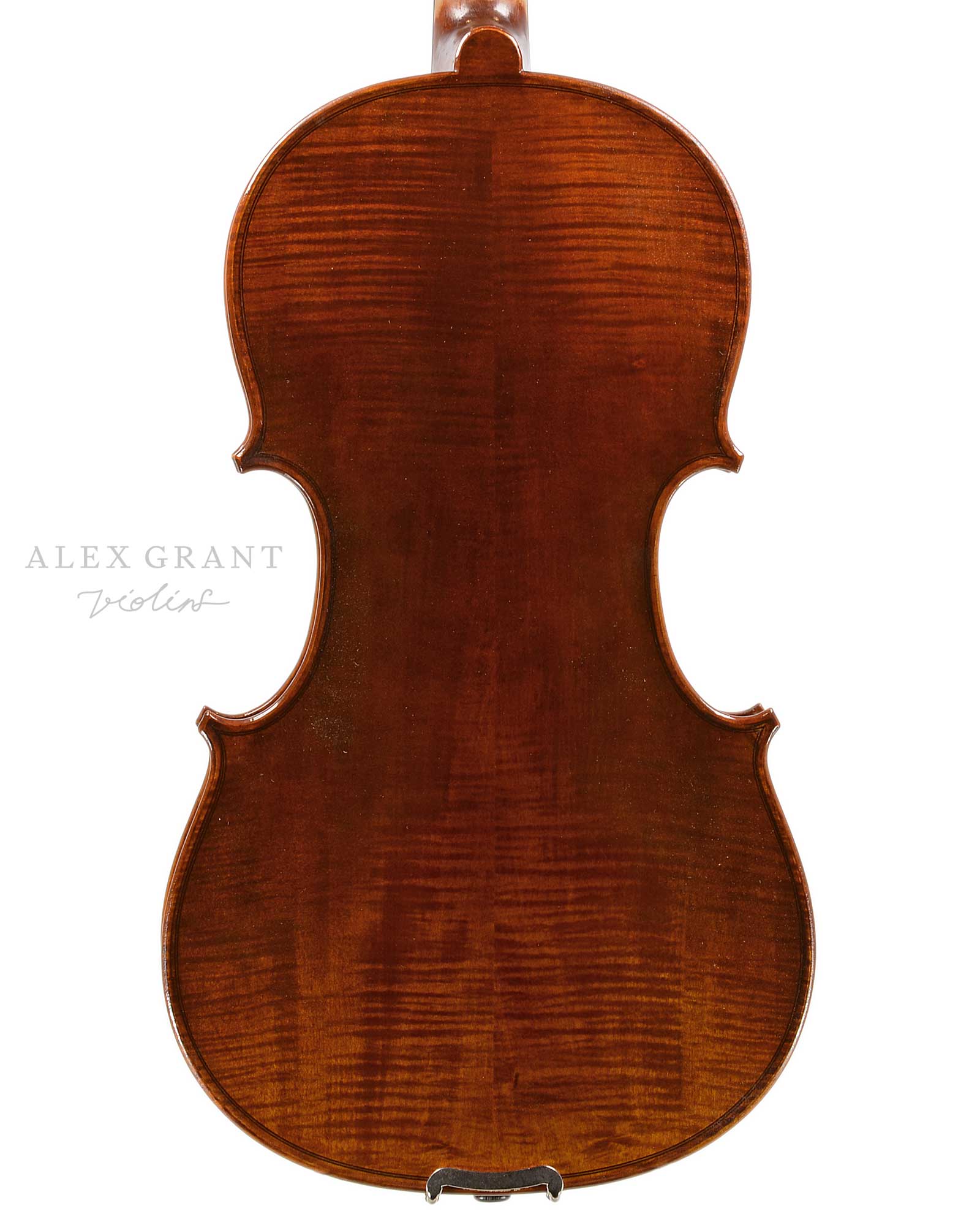 Gabrielli Viola Back Plate
