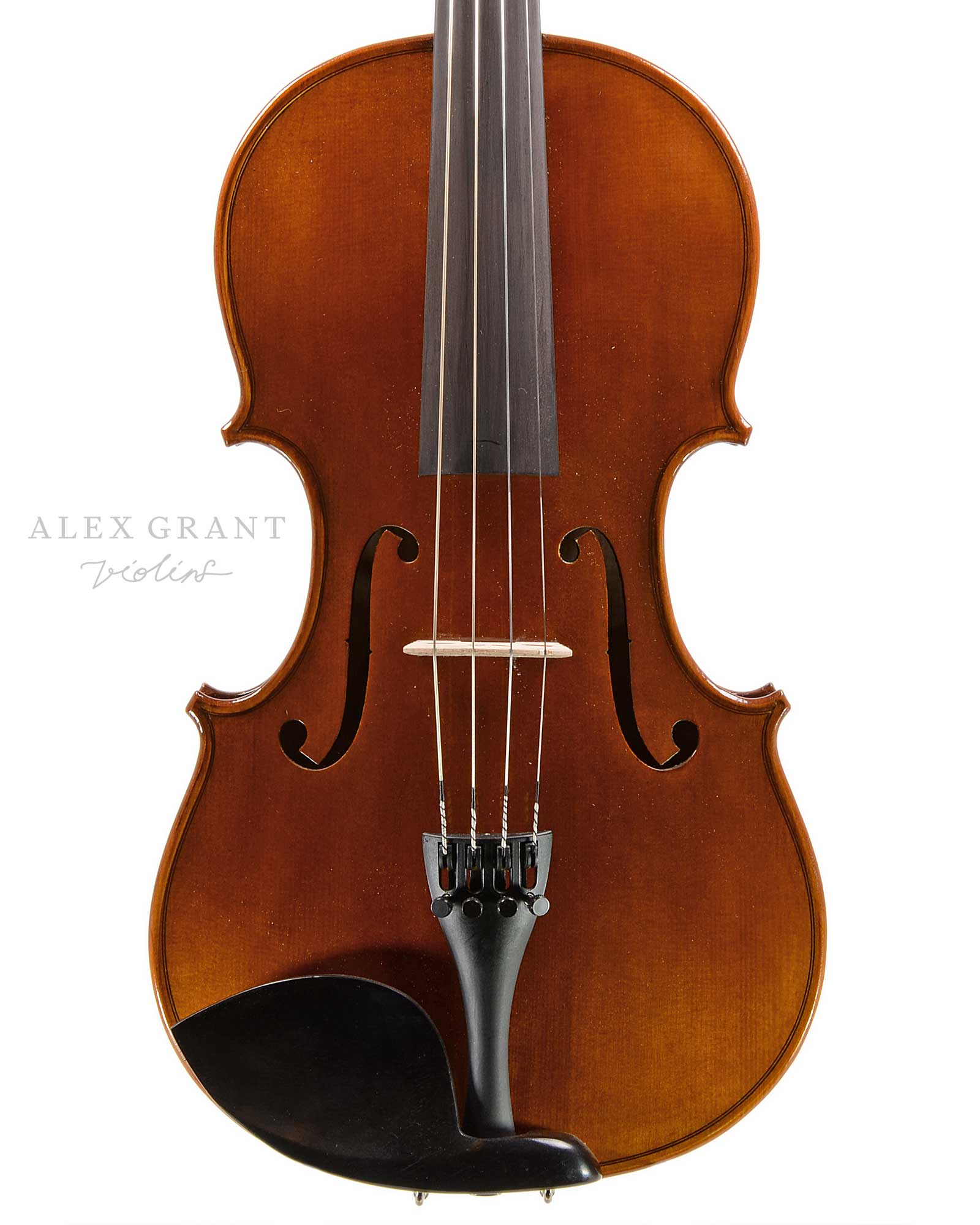 Gabrielli Viola Front Plate