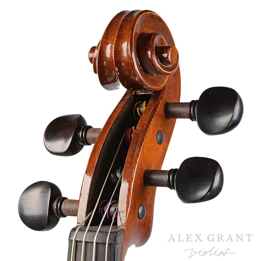 Gabrielli Viola Scroll