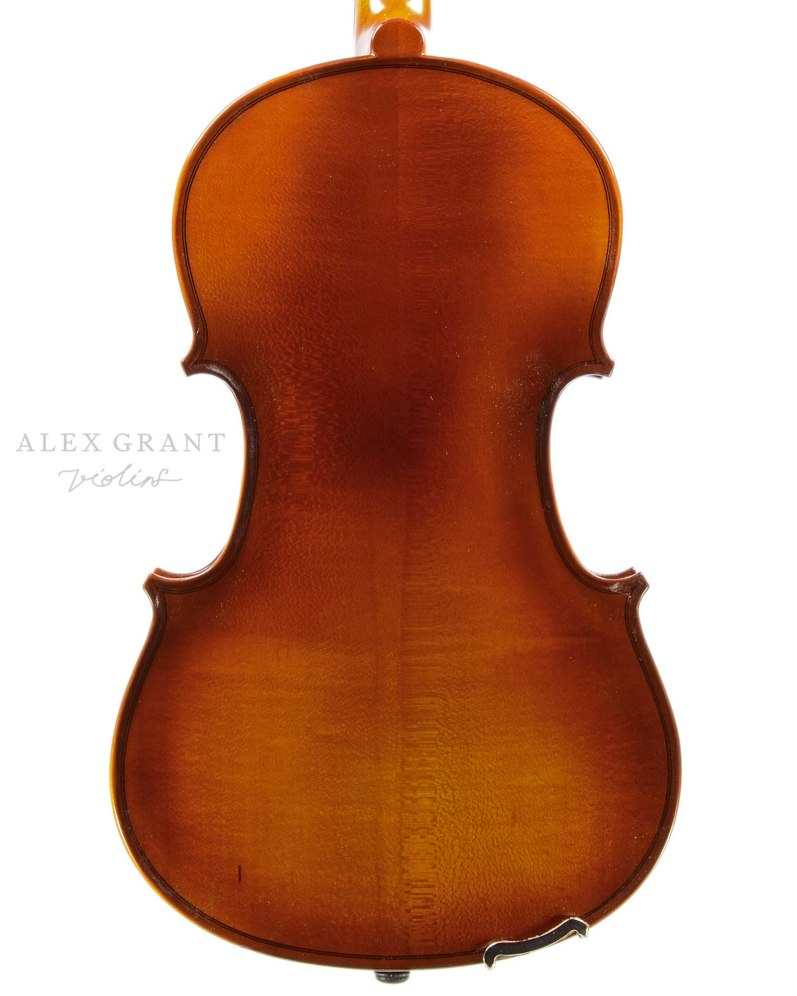 Raggetti Viola Back Plate