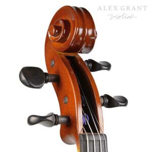 Raggetti Viola Scroll