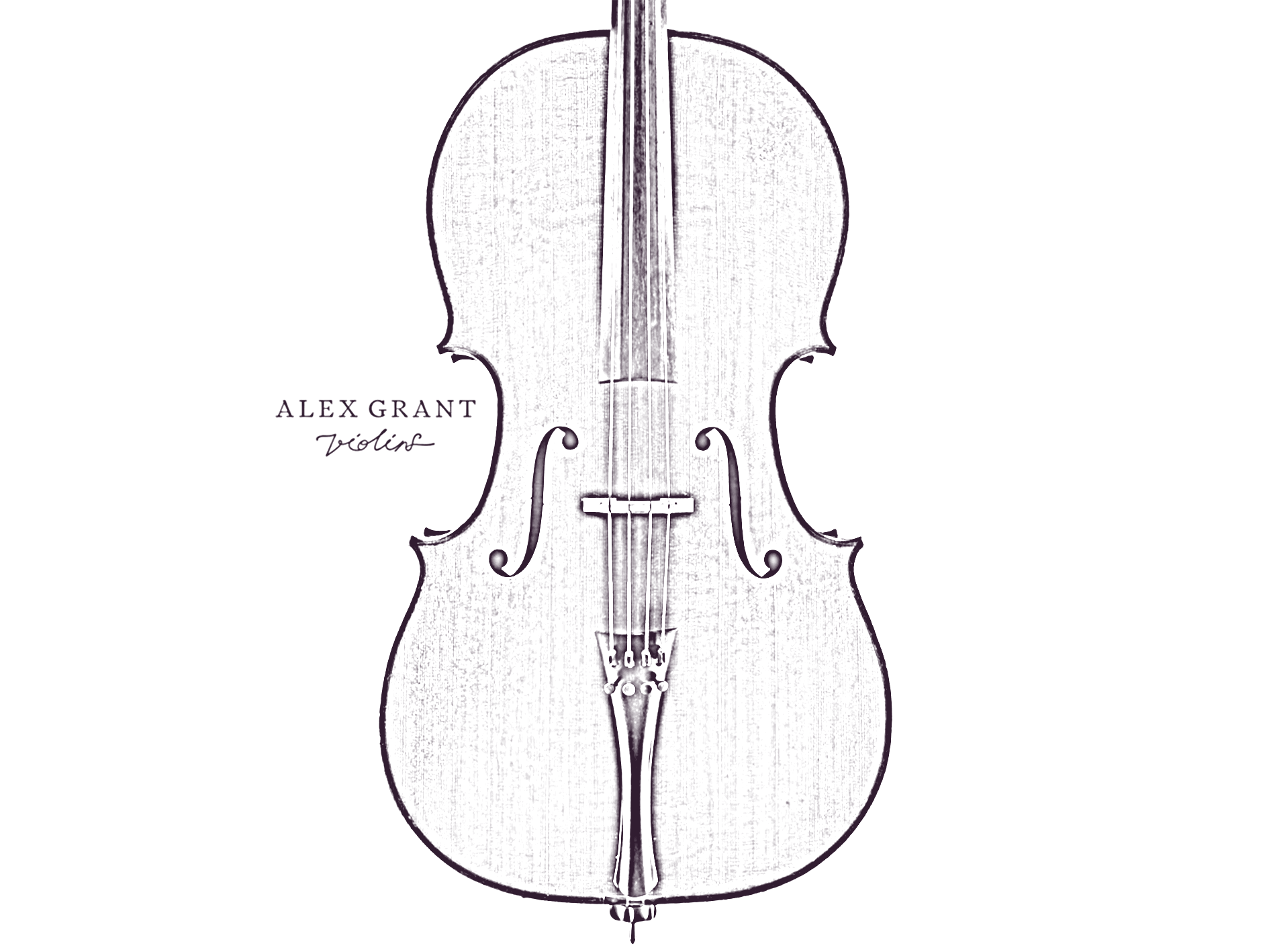 Cello image with a complete set-up of strings, bridge and fingerboard.
