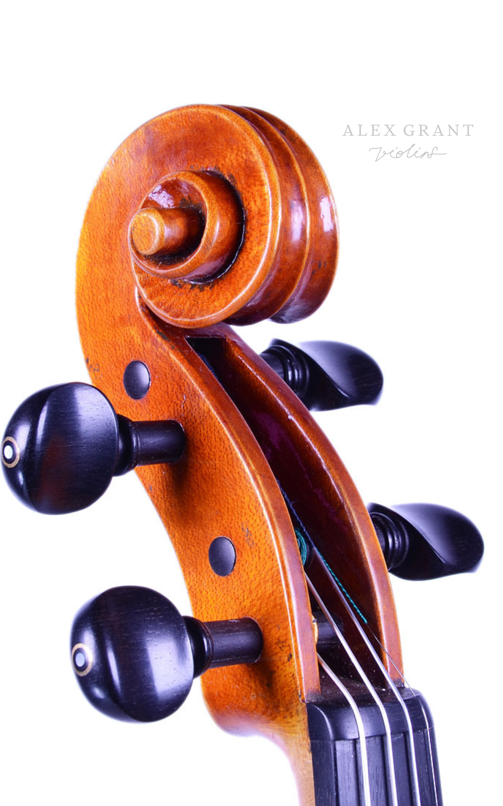 Adele Beardsmore, Guarneri Model Violin, Australia, 2020 - Image 2