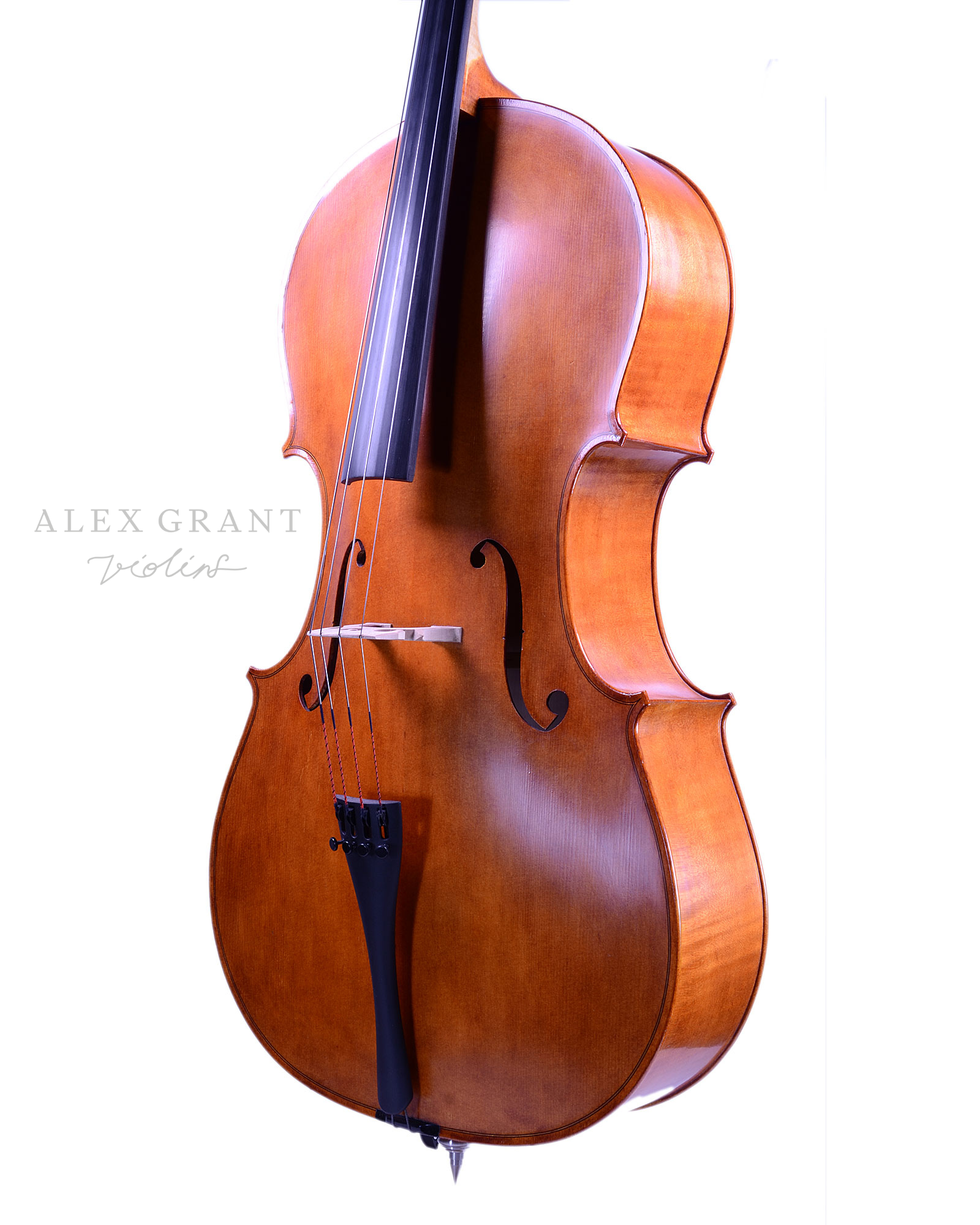 Malcolm Collins, Cello, New Zealand, 2022