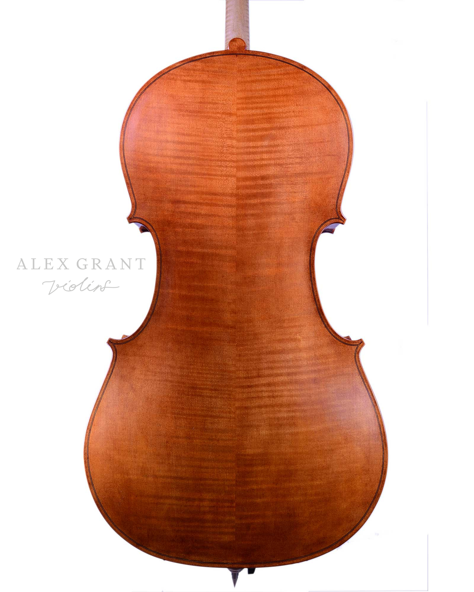 Malcolm Collins, Cello, New Zealand, 2022 - Image 3