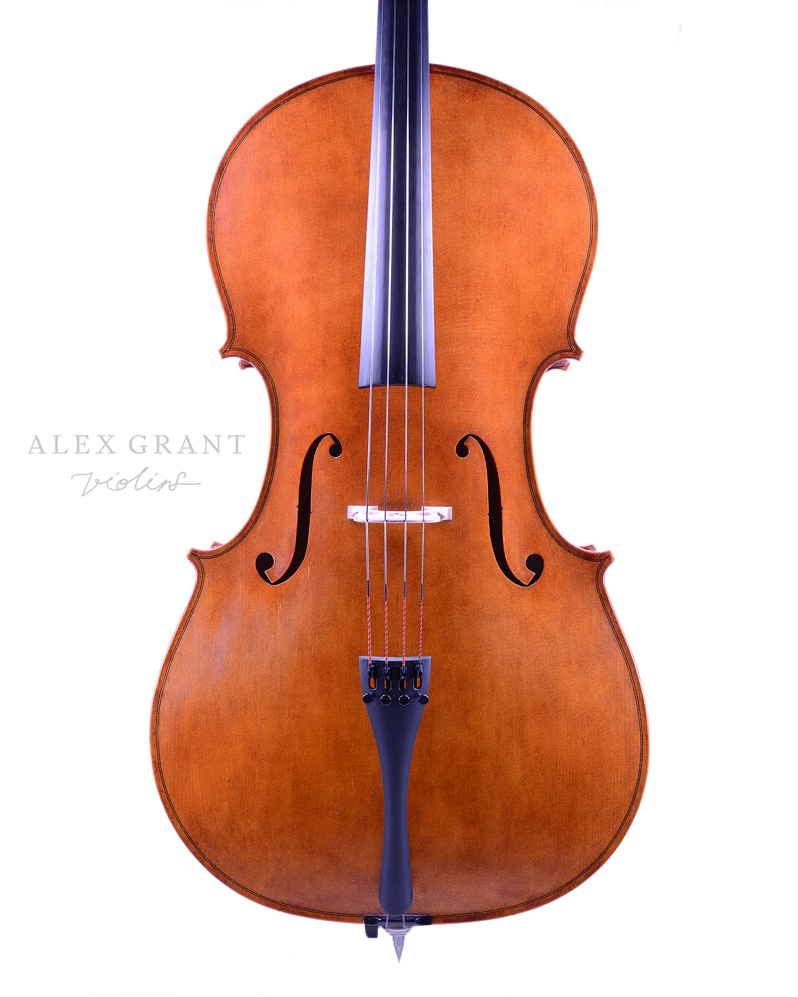 Malcolm Collins, Cello, New Zealand, 2022 - Image 4