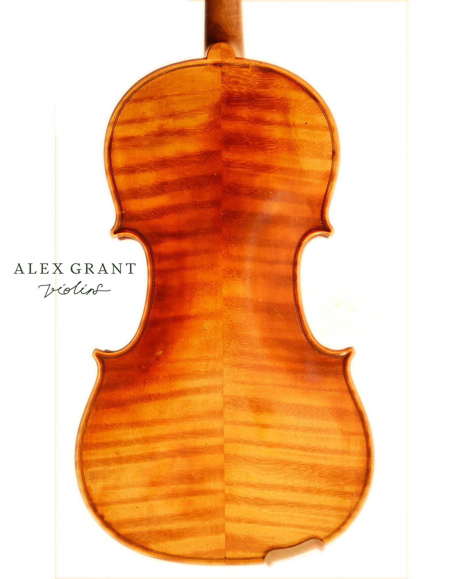 Robert Laumann, Hungarian violin, 1903